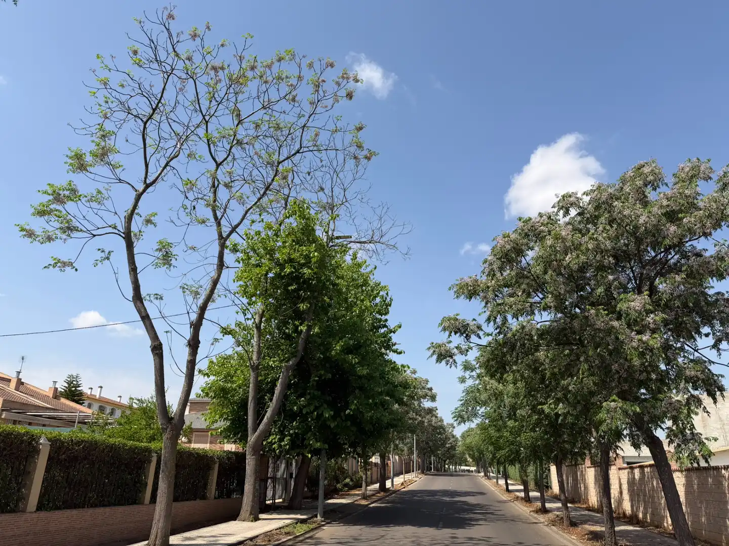 Vista exterior de Casa o xalet en venda en Badajoz amb Aire condicionat, Calefacció i Jardí privat