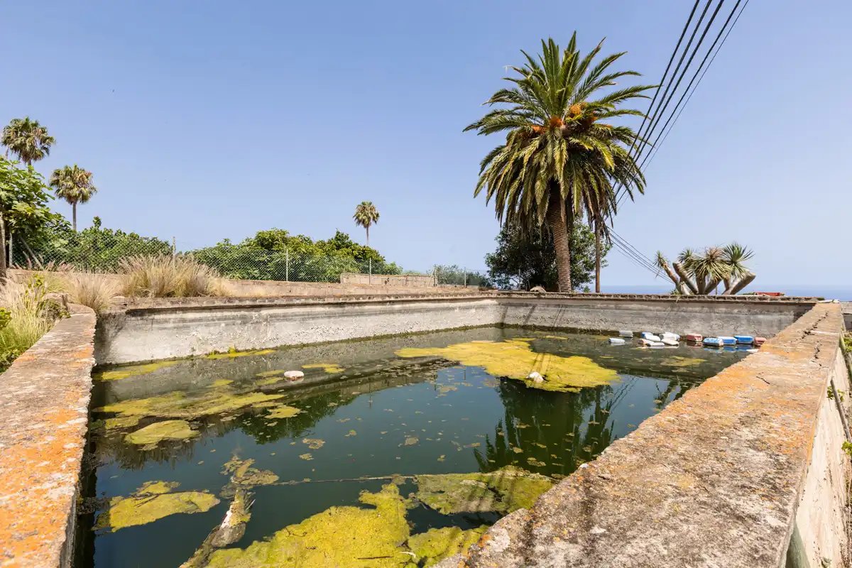 Swimming pool of Country homes for sale in San Cristóbal de la Laguna  with Private garden, Terrace and Balcony