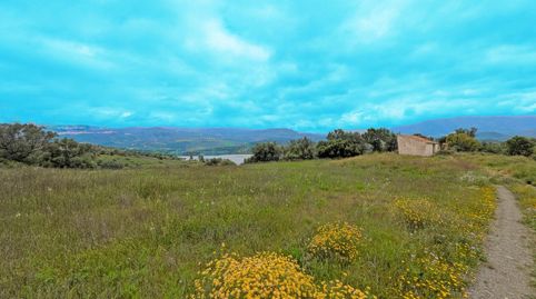 FINCA RÚSTICA JUNTO AL EMBALSE DE LA VIÑUELA, immagine 3