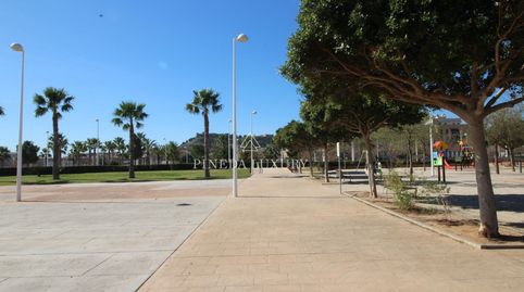 PARCELA EN ZONA RESIDENCIAL DE SAGUNTO DE 1.954 M2, imatge 3