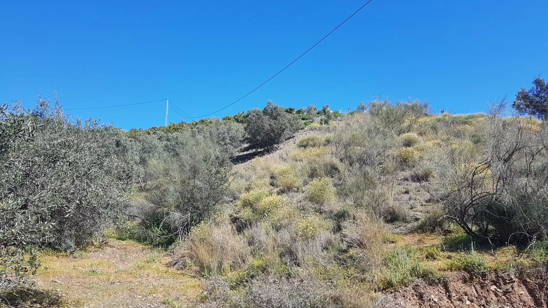 Terreni e lotti in vendita a Los Rueda