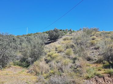 Terreny rústic en venda a Los Rueda