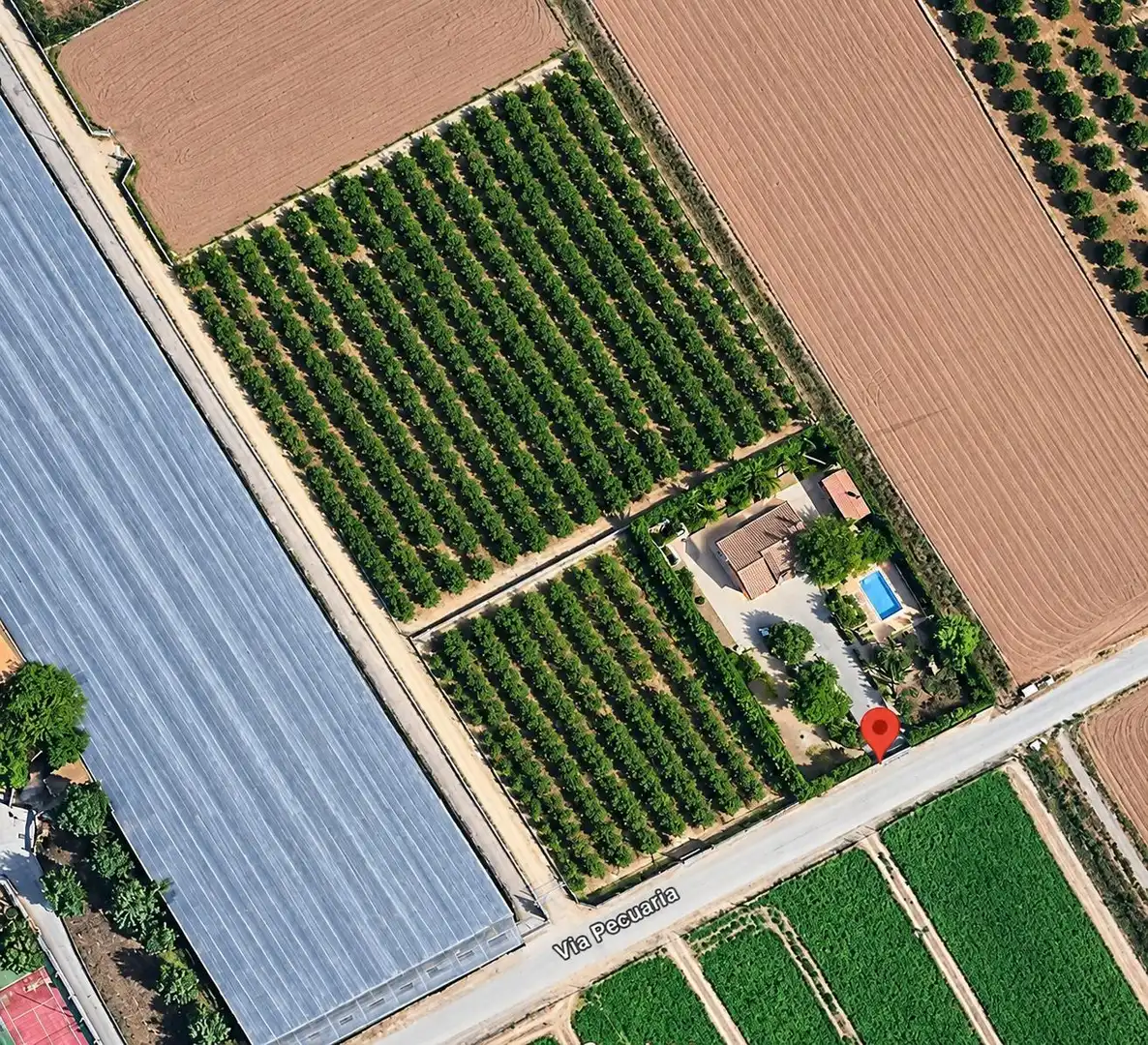 Haus oder Chalet zum Verkauf in Murcia, Murcia