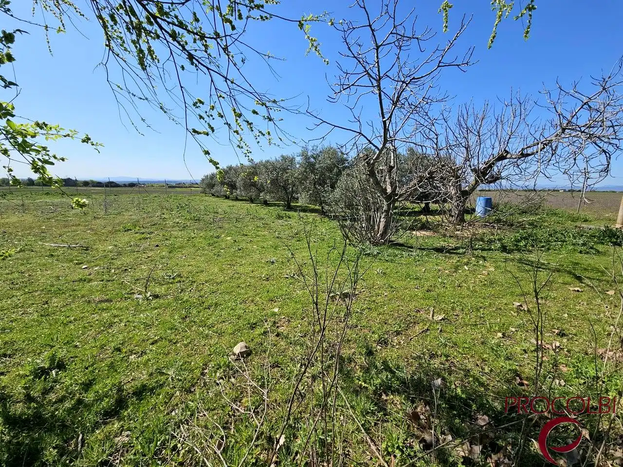 Terreno en venta en Valdeolmos-Alalpardo