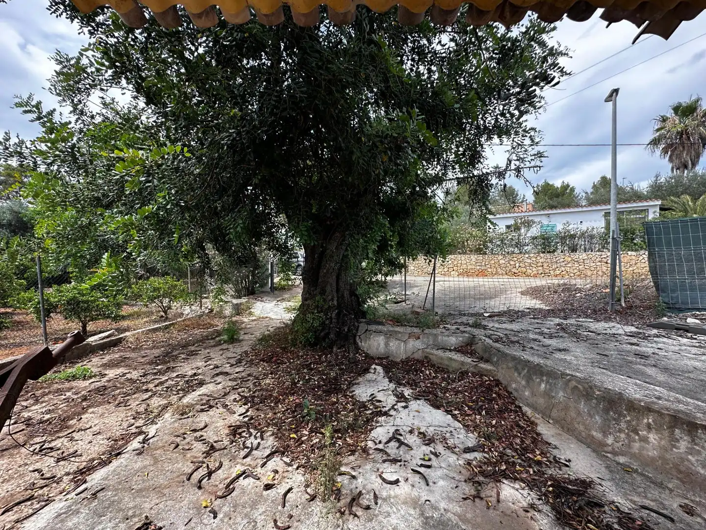 Terrenys i solars en venda a Alberic, imagen 12