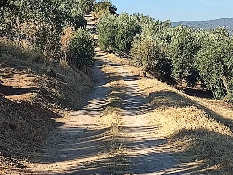 Außenansicht von Grundstücke zum Verkauf in Iznájar