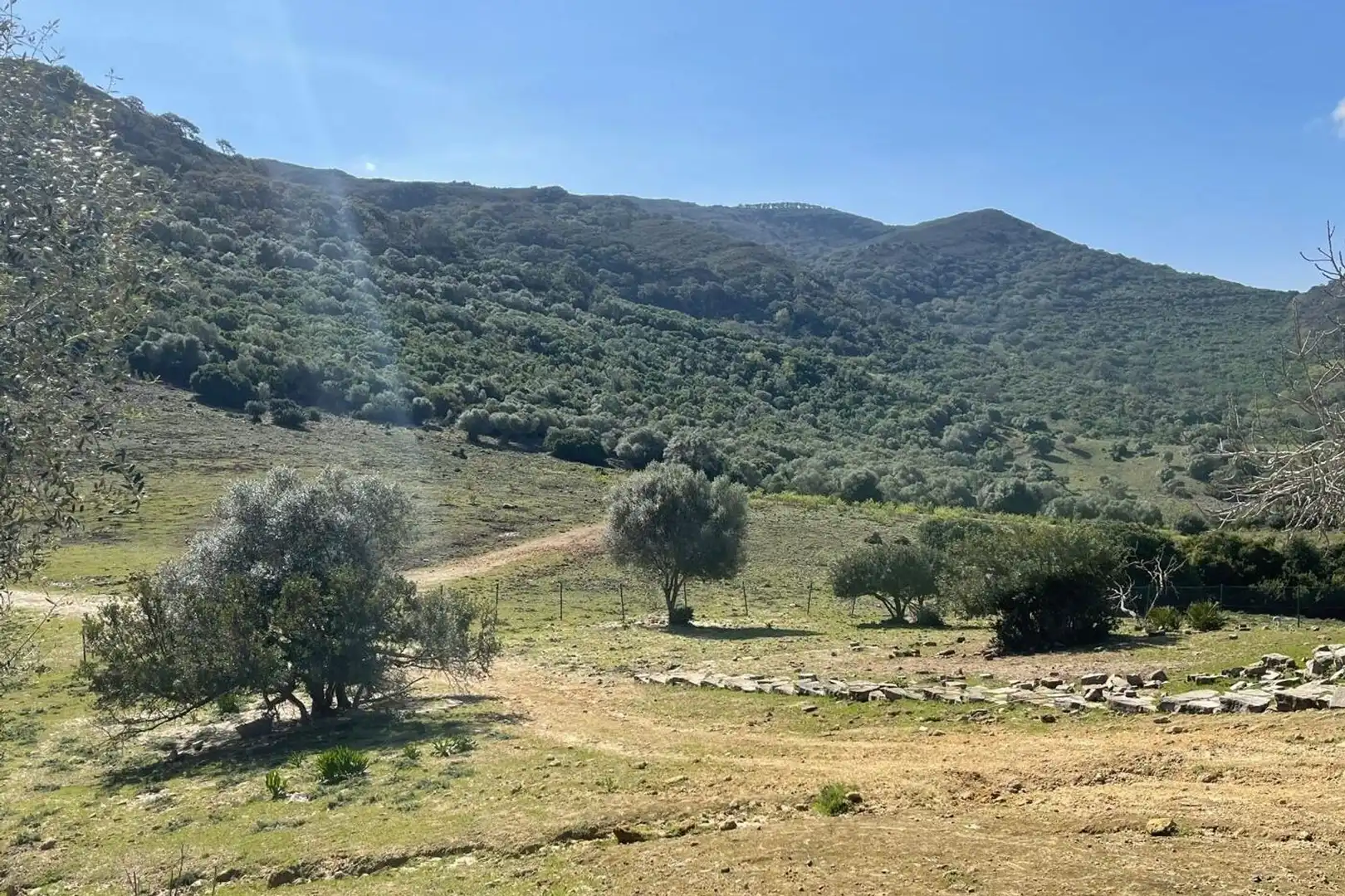 Residential zum Verkauf in Castellar de la Frontera