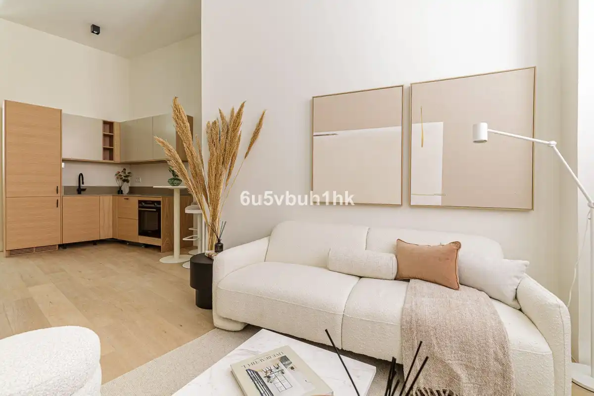 Sala d'estar de Dúplex en venda en Málaga amb Aire condicionat, Terrassa i Moblat