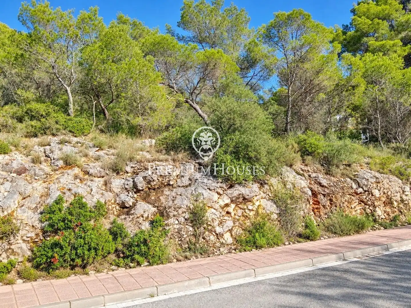 Residential land for sale in Mas Alba, imagen 12