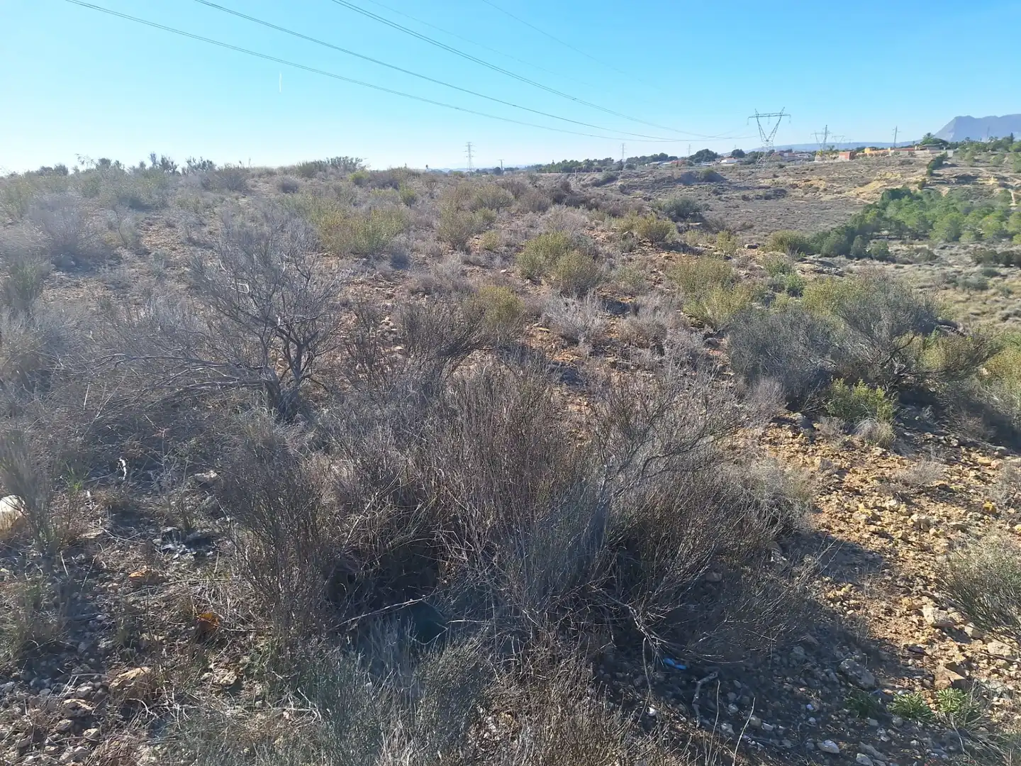 Rural land for sale in Villamontes - Boqueres, imagen 3