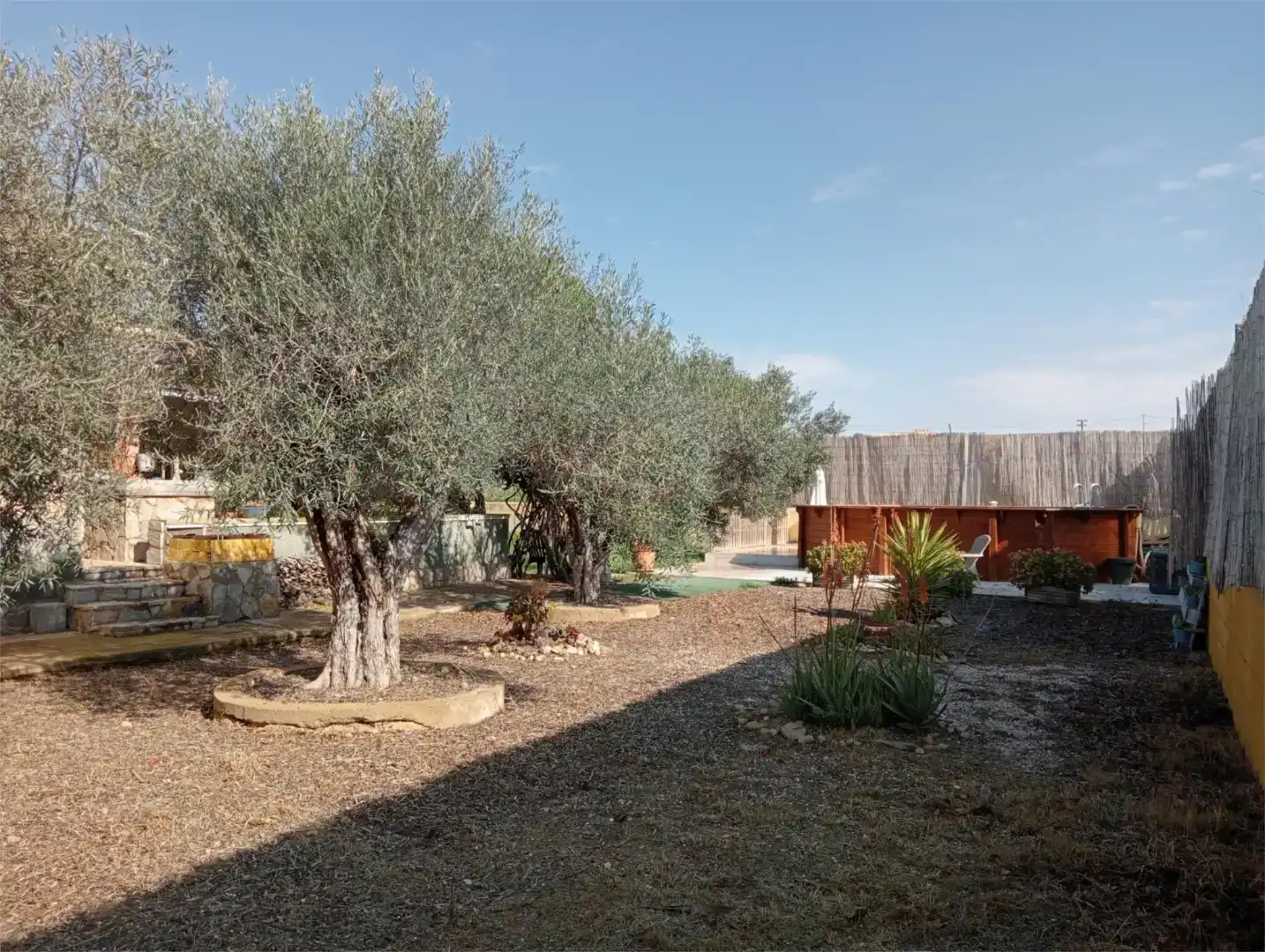 Jardín de Piso para compartir en San Fulgencio, Alicante