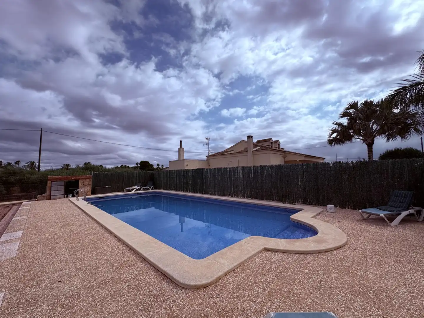 Swimming pool of Houses for sale in Elche / Elx  with Swimming Pool