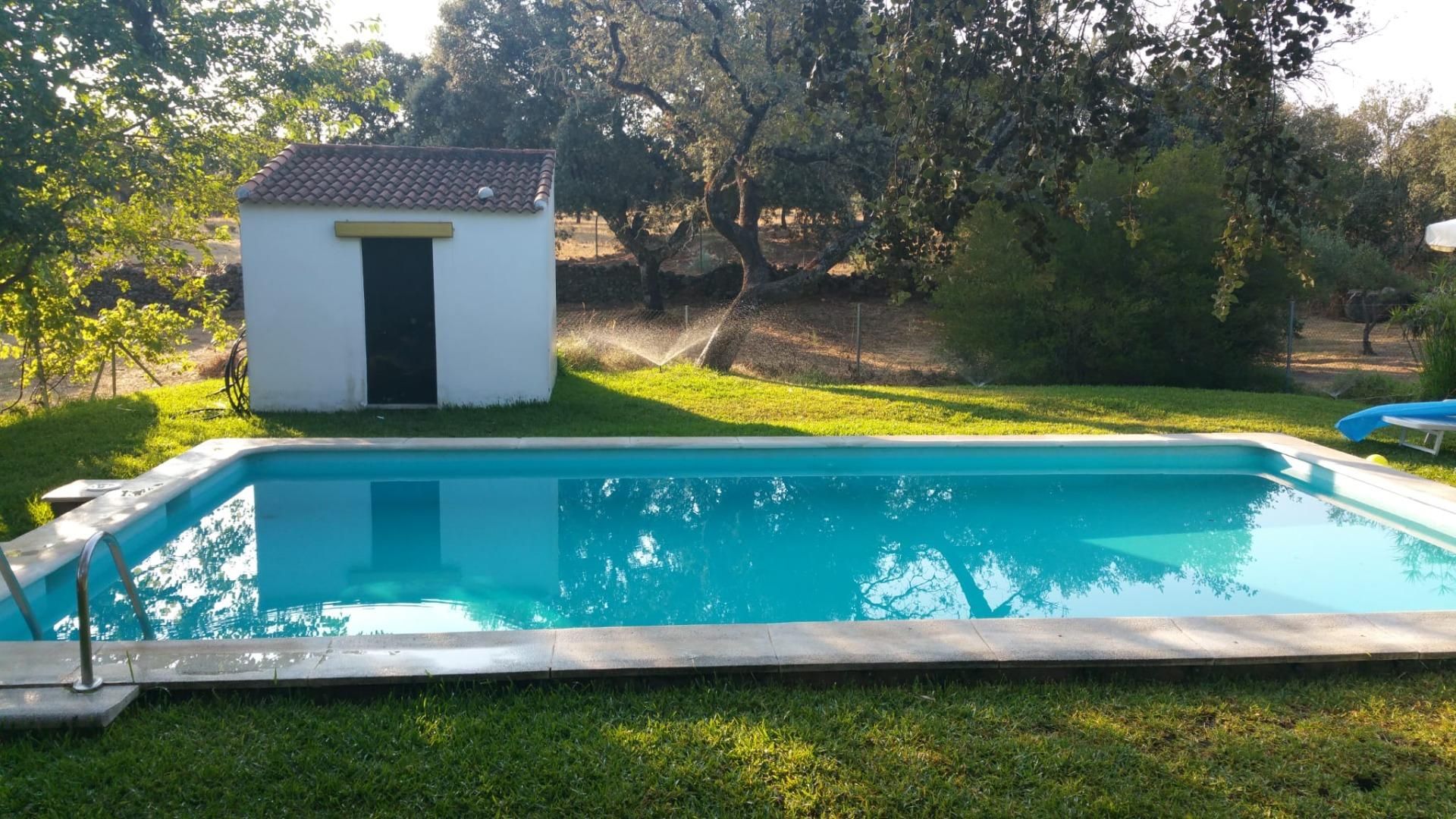 Swimming pool of Residential for sale in Castilblanco de los Arroyos