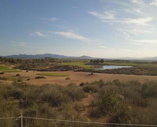 Vista exterior de Àtic en venda en Alhama de Murcia amb Terrassa