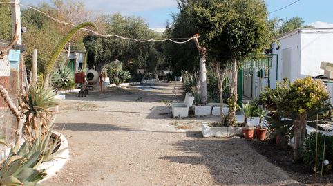 PARCELA EN VENTA (PECHINA), immagine 4
