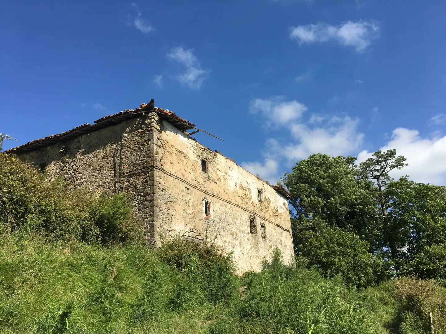 Vista exterior de Finca rústica en venta en Beasain