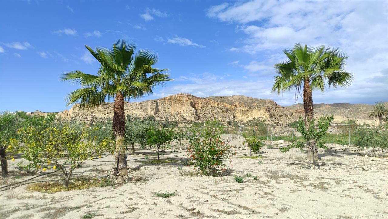 Exterior view of Residential for sale in Cuevas del Almanzora