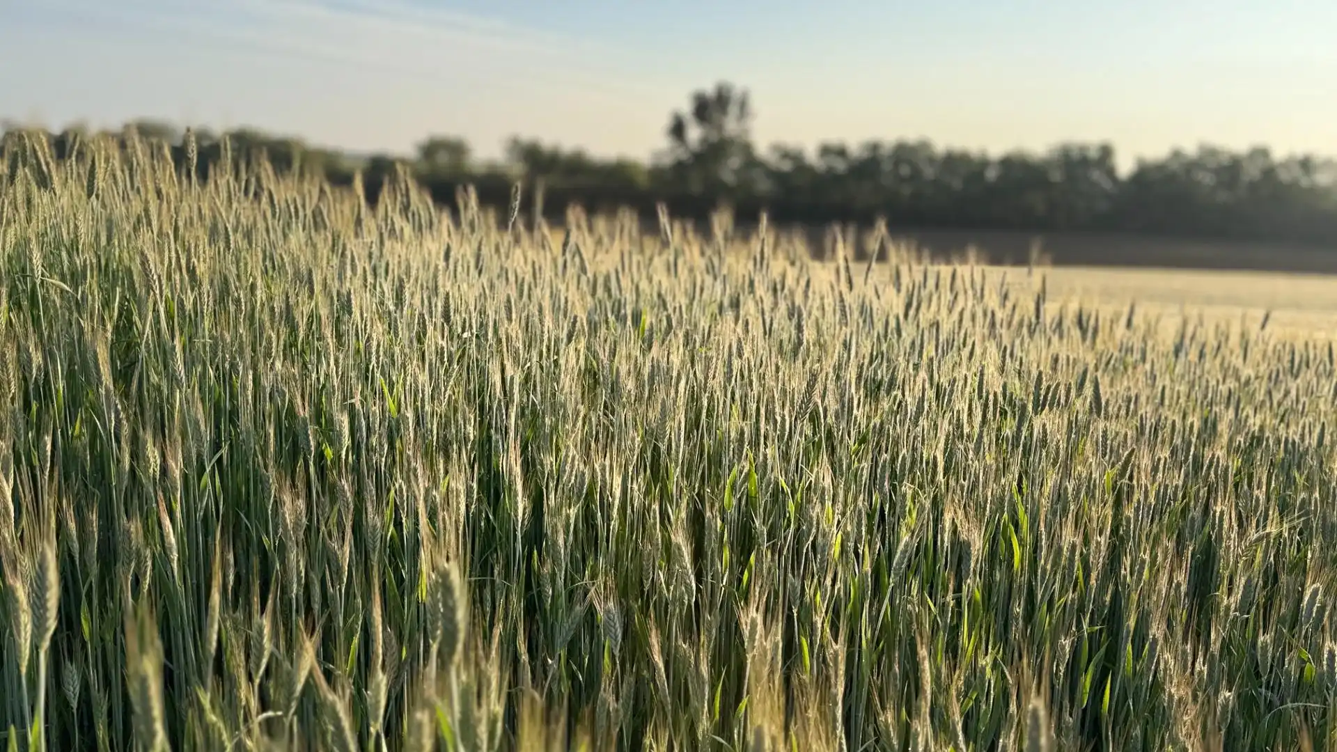 Vista exterior de Finca rústica en venda en Huelva amb Aire condicionat, Terrassa i Piscina