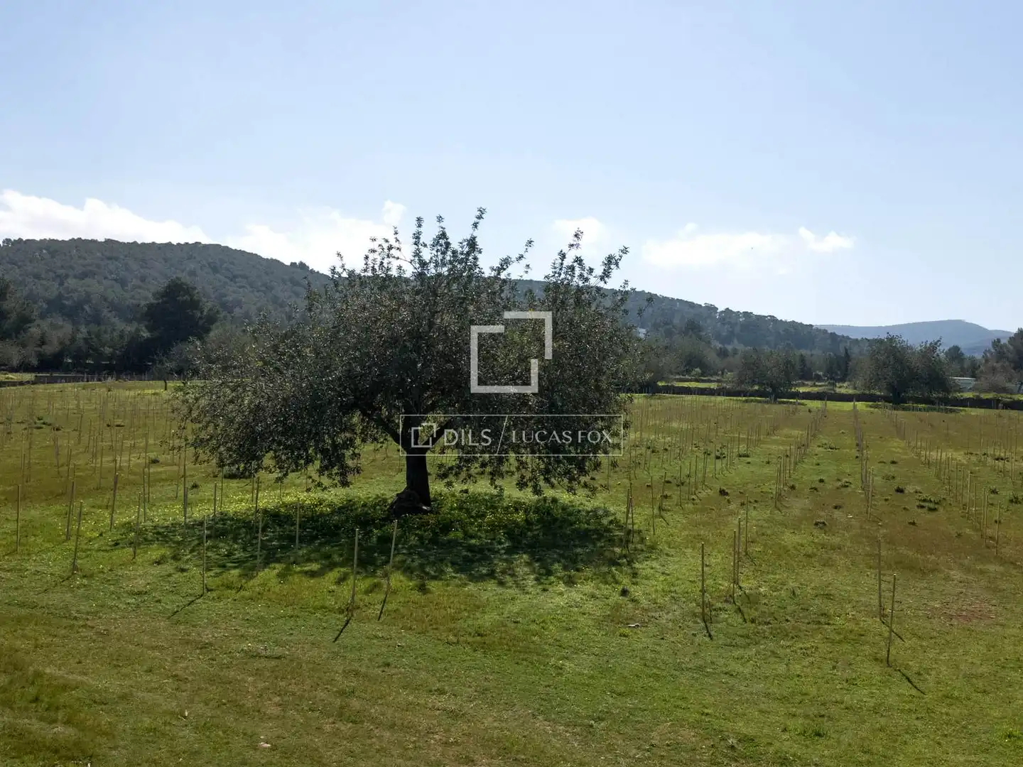 Terreny rústic en venda a Sant Antoni de Portmany, imagen 9