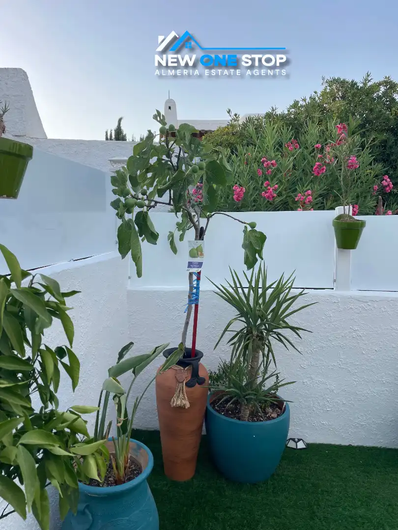 Jardí de Apartament en venda en Mojácar amb Aire condicionat, Calefacció i Jardí privat