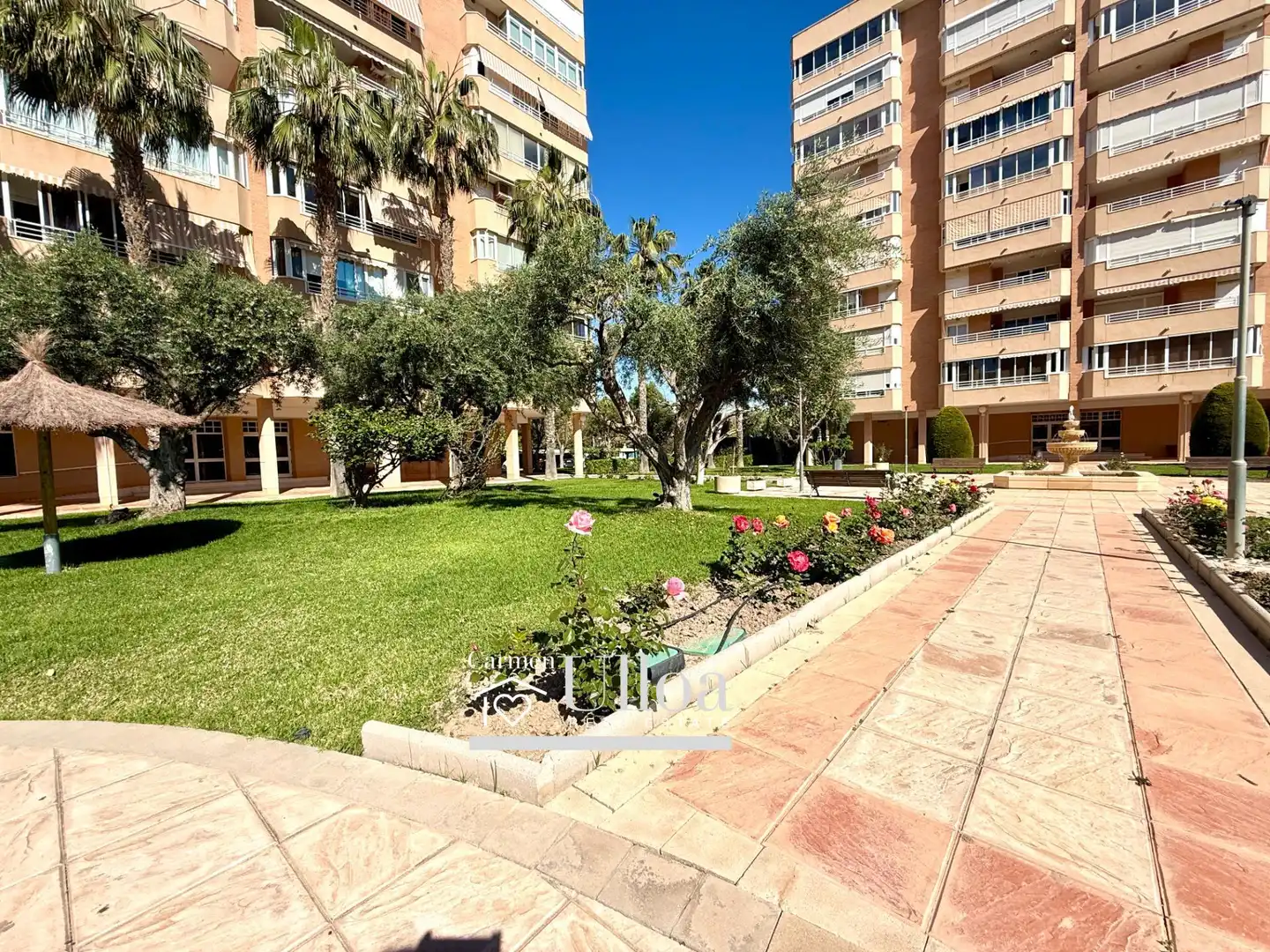 Vista exterior de Apartamento en venta en Alicante / Alacant con Jardín privado y Piscina comunitaria