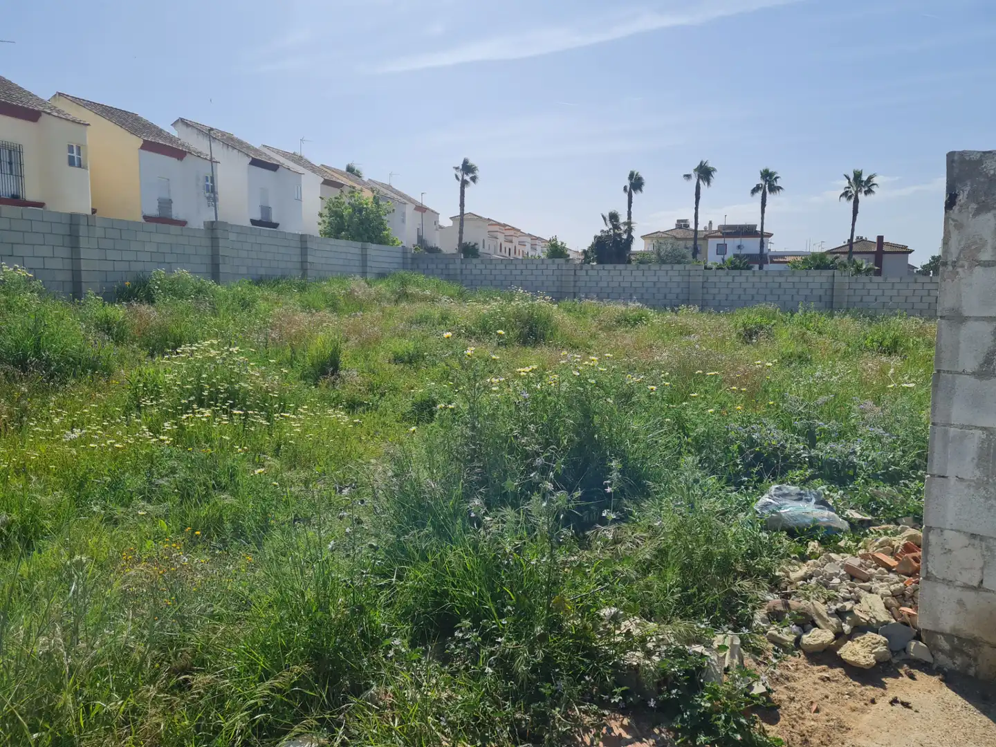 Terreny residencial en venda a Calle Murillo 107, imagen 2