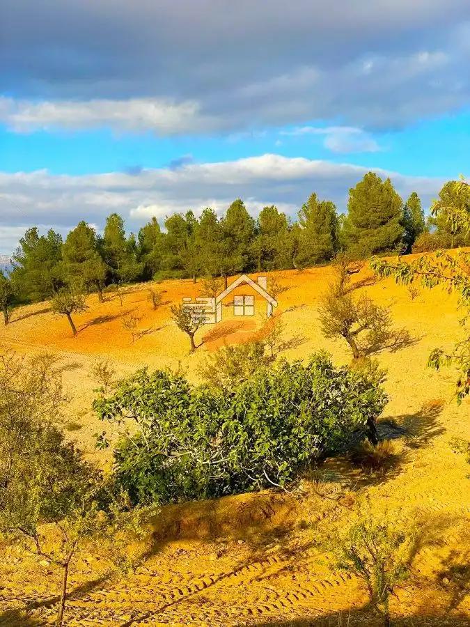Residential land for sale in Vélez-Rubio, imagen 13