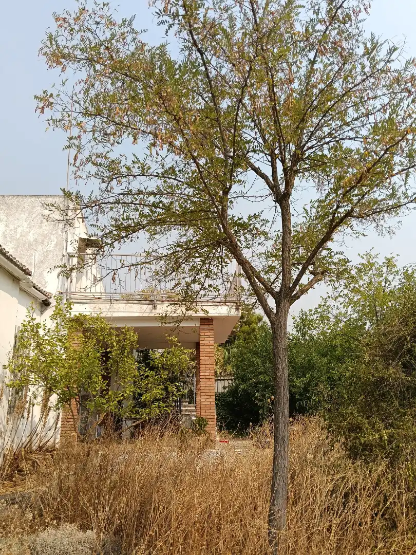 Casa o xalet en venda a Calle Badajoz, 3, Almendralejo