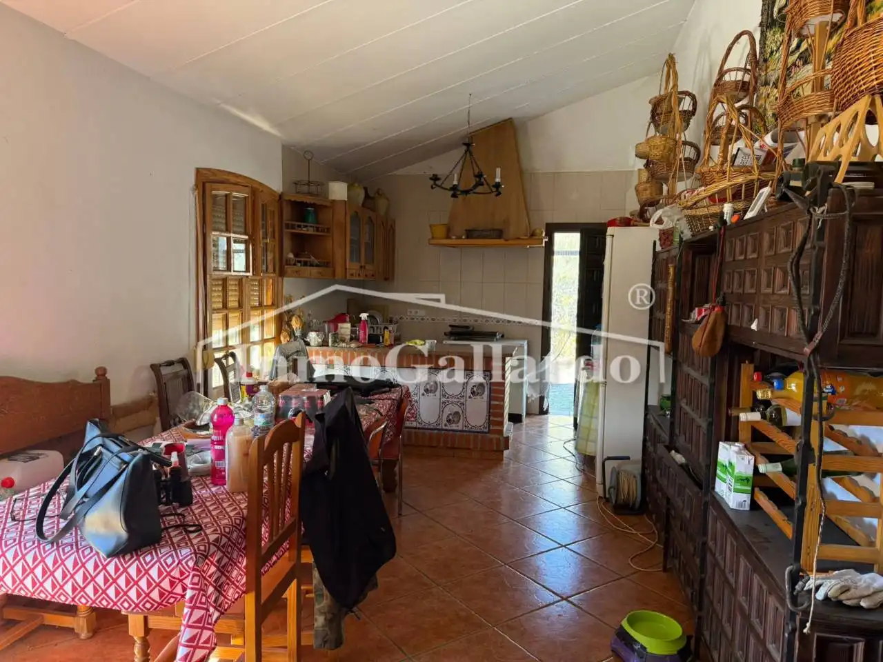 Haus mit Garten zum Verkauf in Este, imagen 5