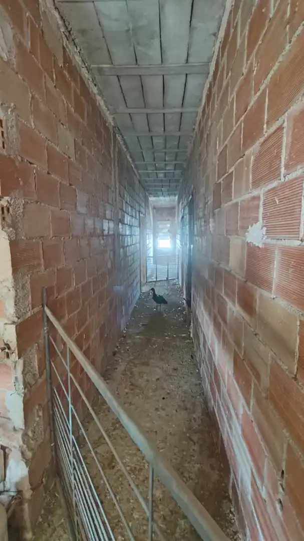 Casa o xalet en venda en Baza