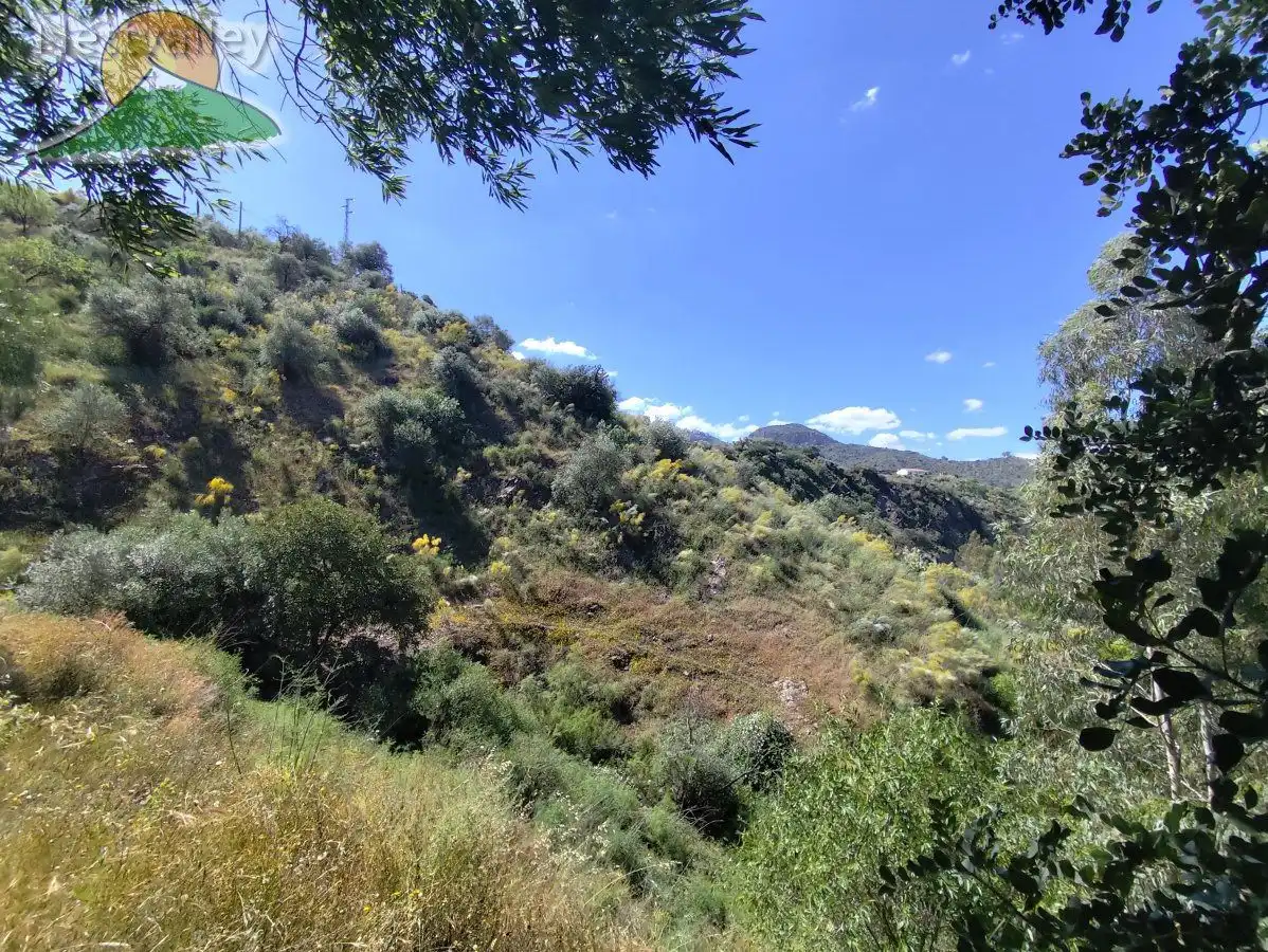 Country homes for sale in Comares