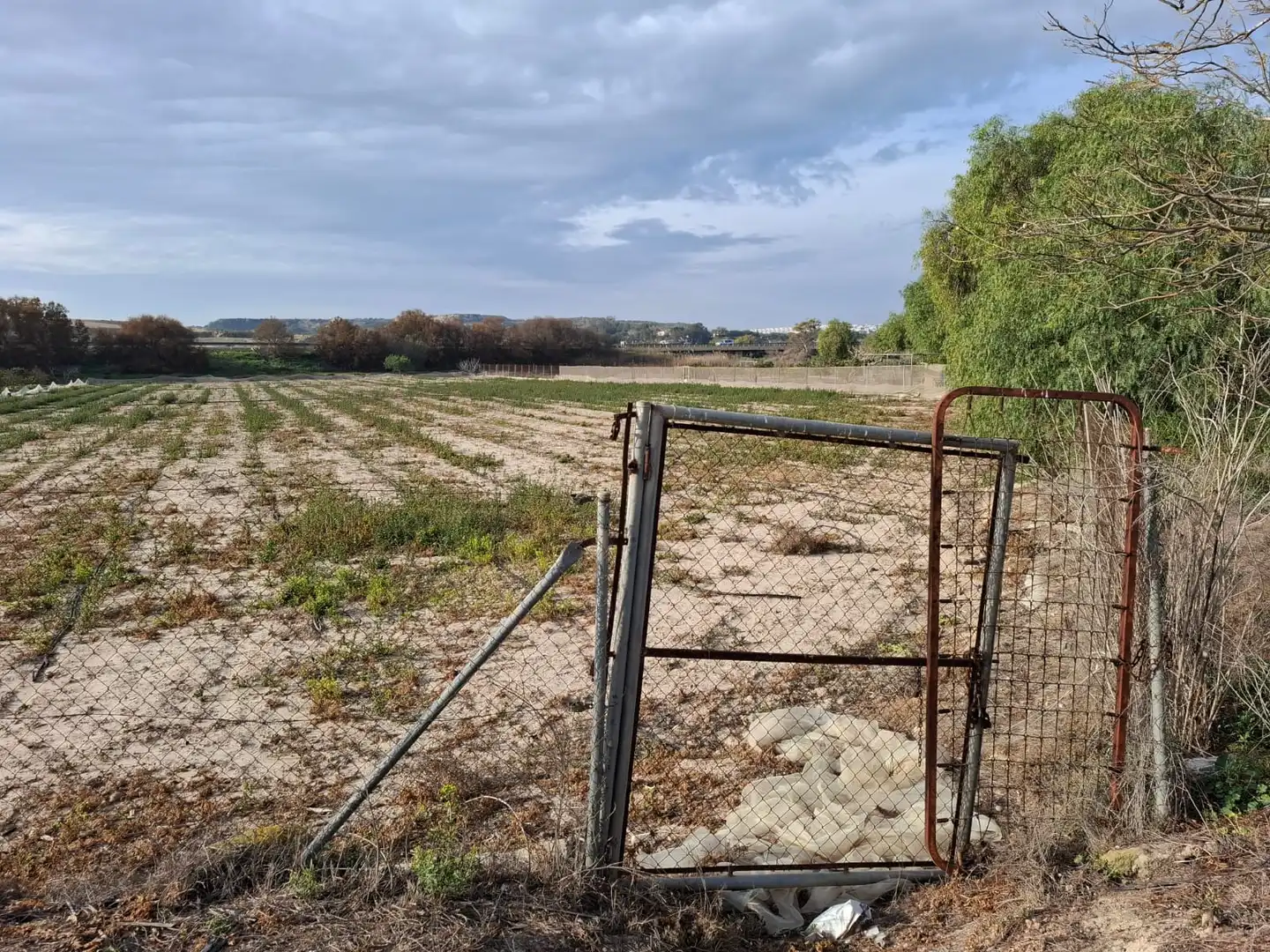Terreno en venta en Guardamar del Segura