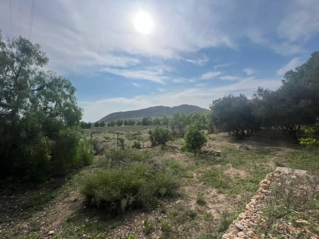 Terreno rústico en venta en Monforte del Cid, imagen 65