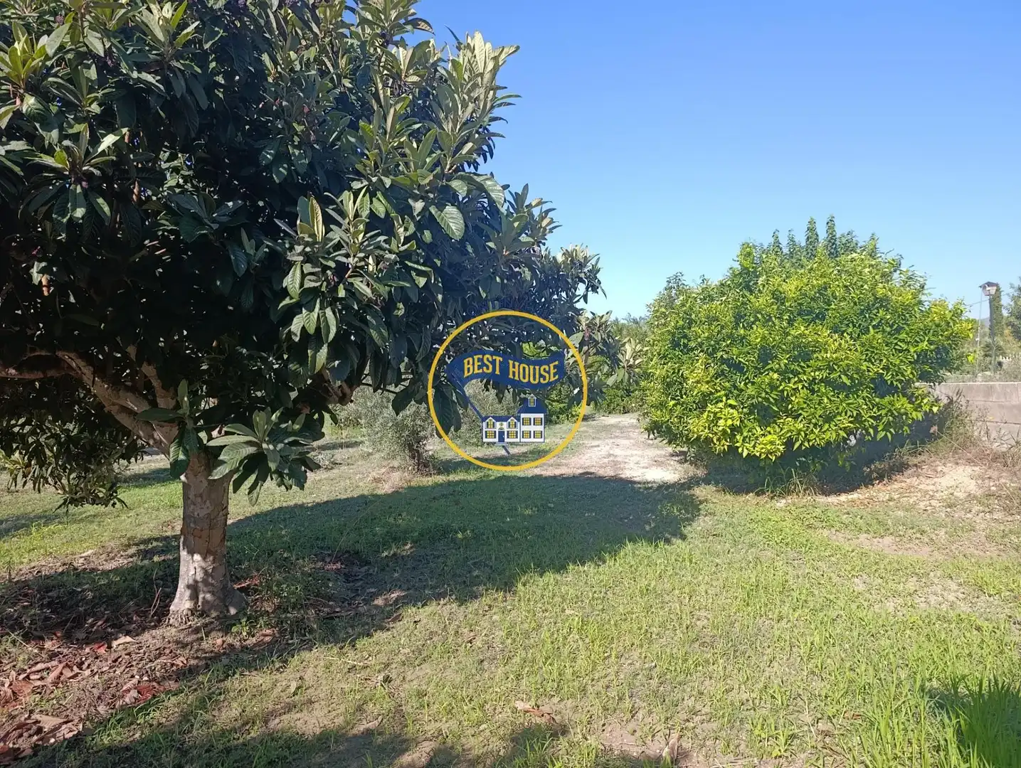 Villa avec jardin à vendre à Agullent, imagen 61