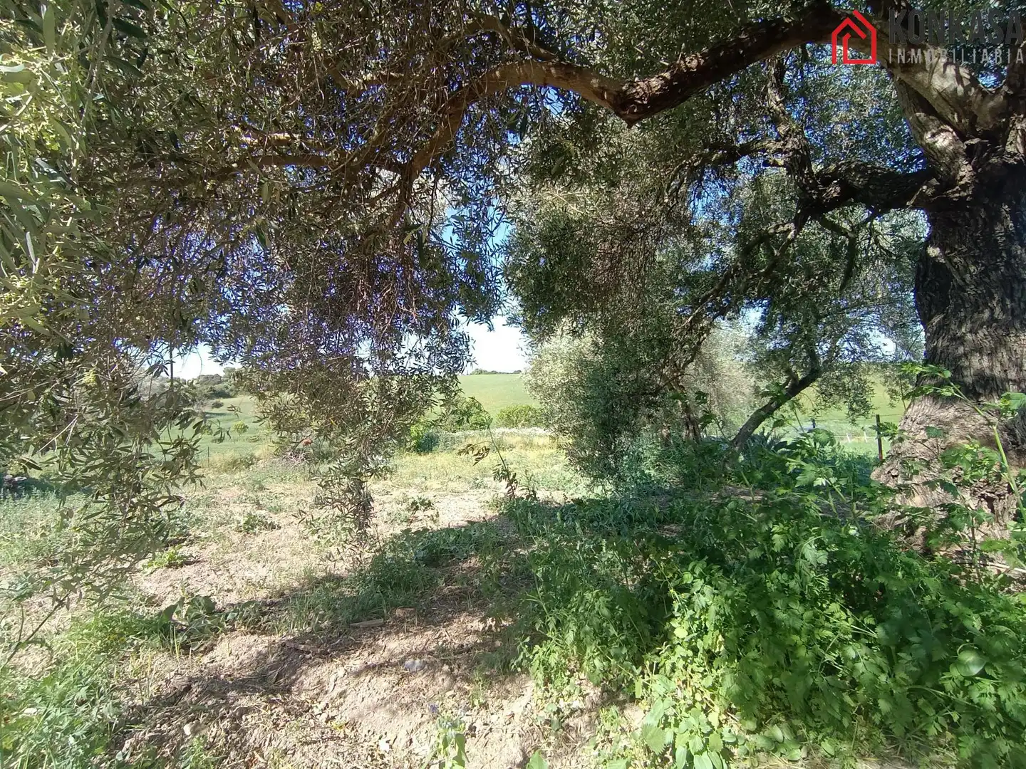 Casa rústica en venda a Arcos de la Frontera, imagen 32
