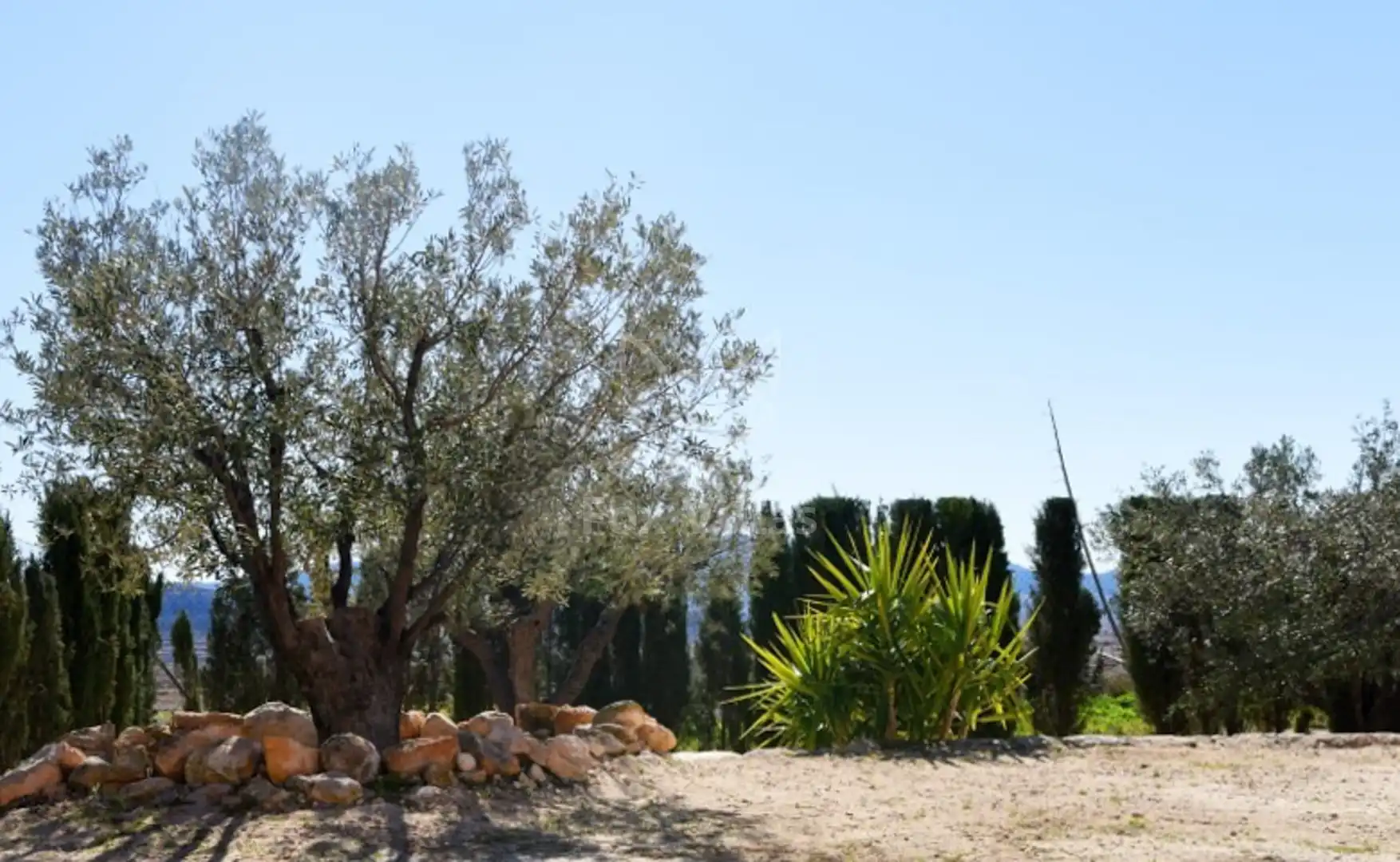 Casa rustica in vendita a Jumilla, imagen 20