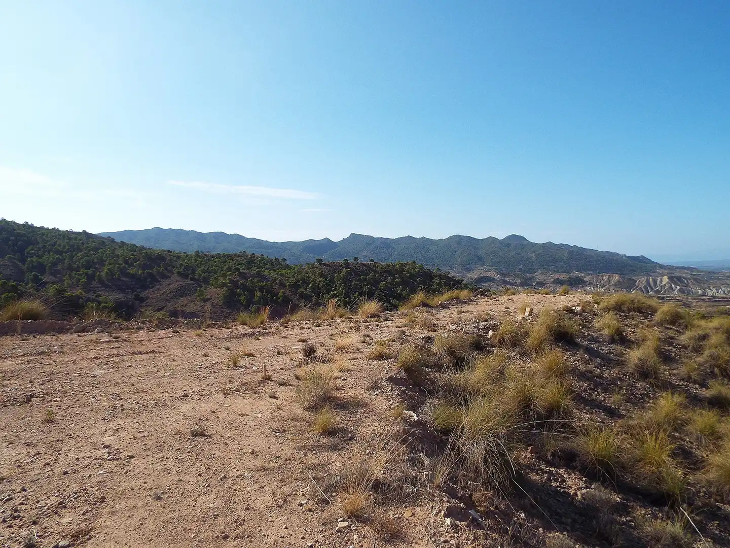 Lands and plots for sale in Abanilla, imagen 12