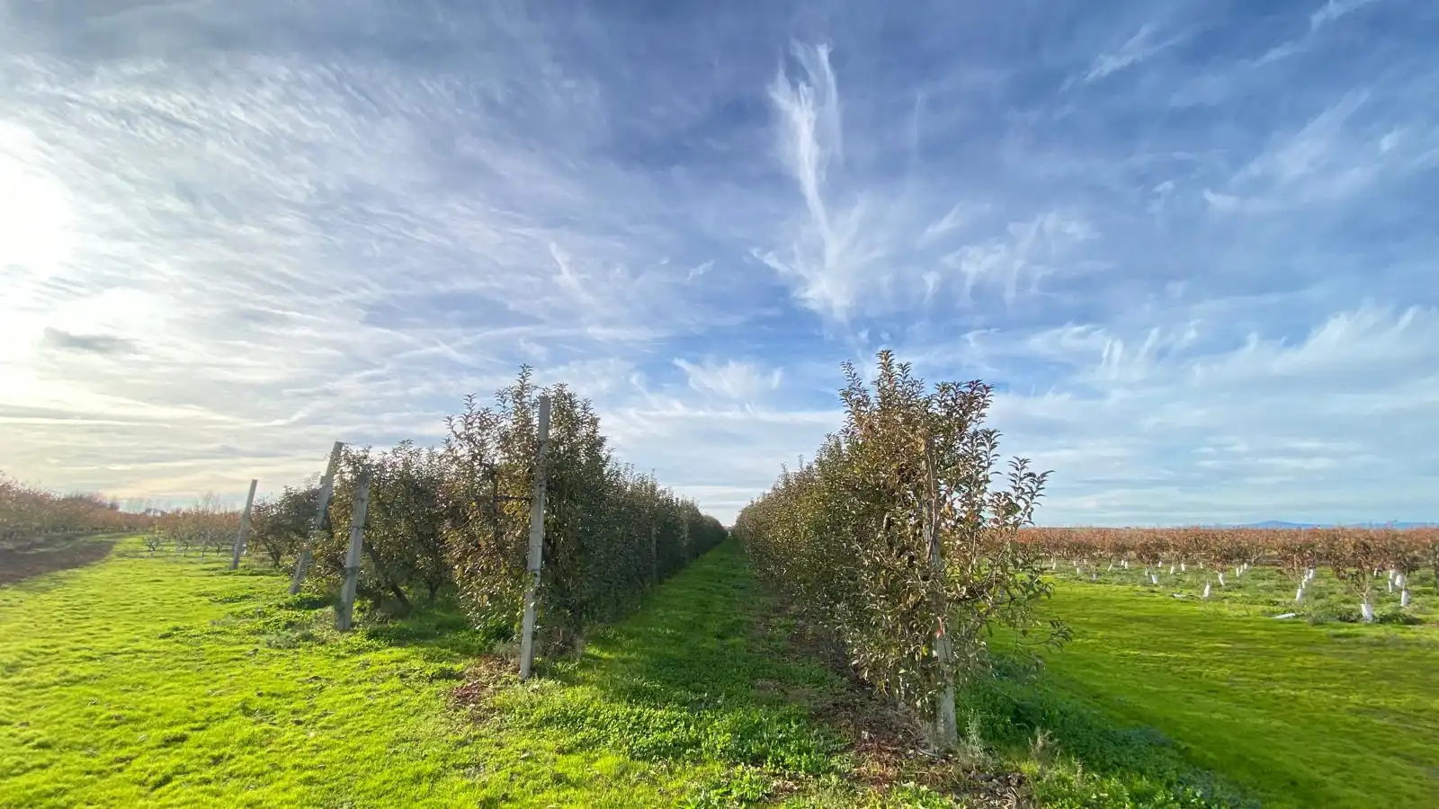 Terreni e lotti in vendita a Alagón del Río, imagen 36