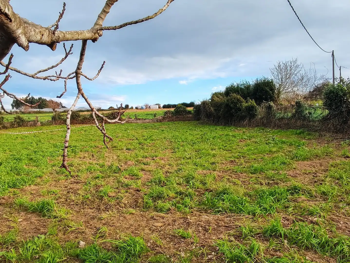 Rural land for sale in armenton, imagen 11