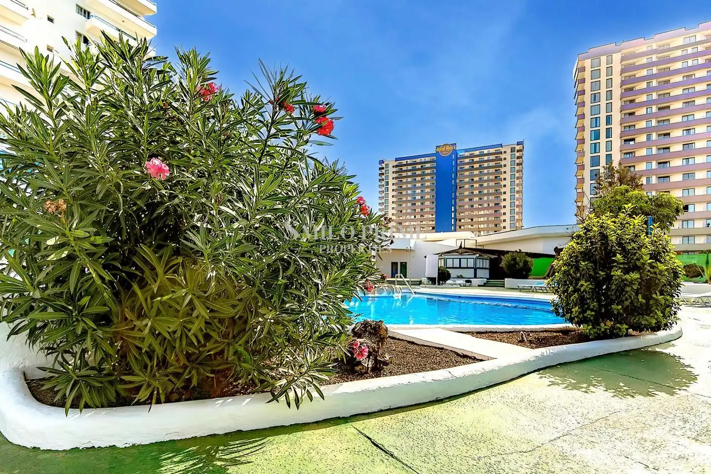 Piscina de Estudio en venta en Adeje con Terraza, Amueblado y Piscina comunitaria