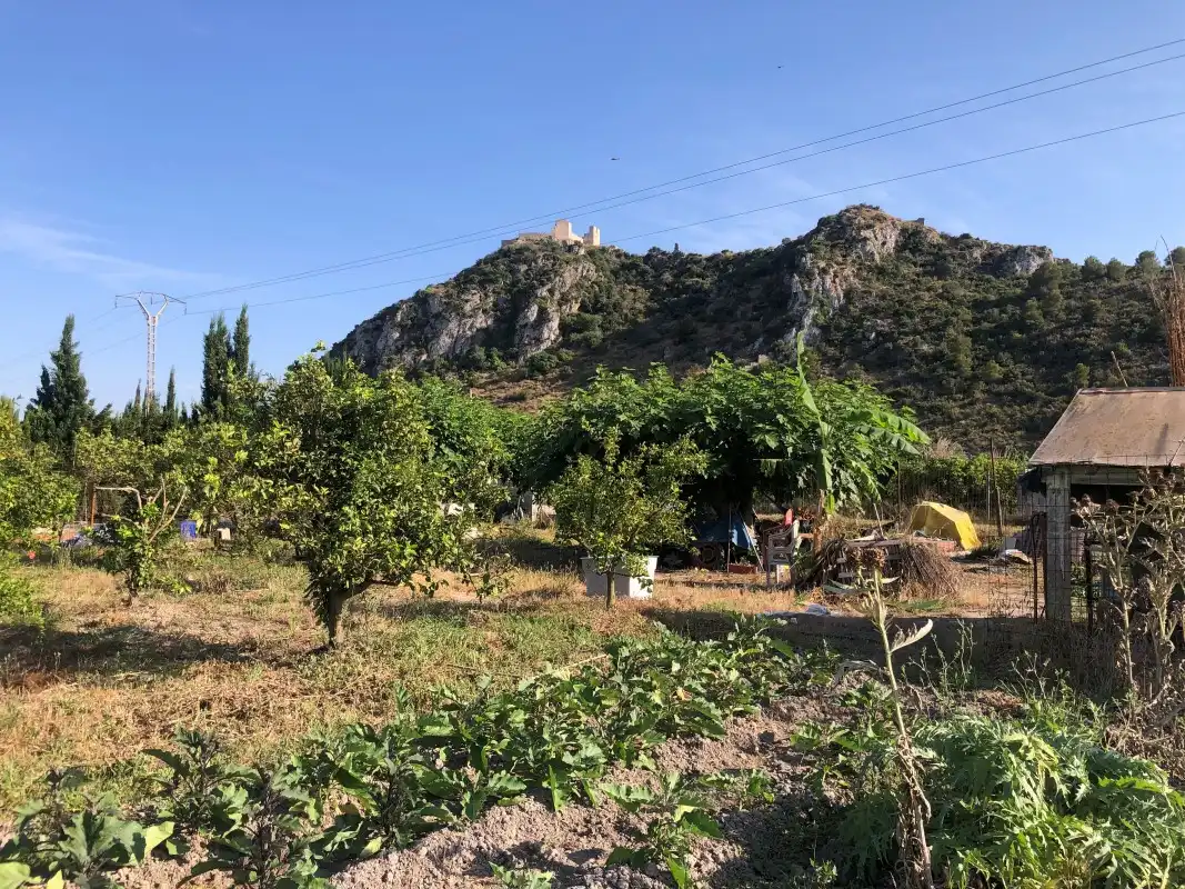 Terreno en venta en Gandia