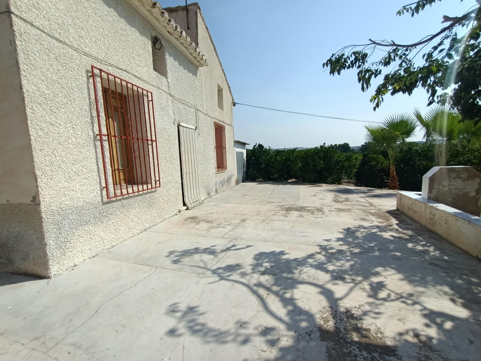 Vista exterior de Finca rústica en venta en Alguazas