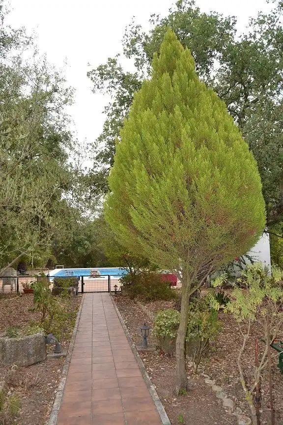 Casa rústica amb piscina en venda a Arcos de la Frontera, imagen 31