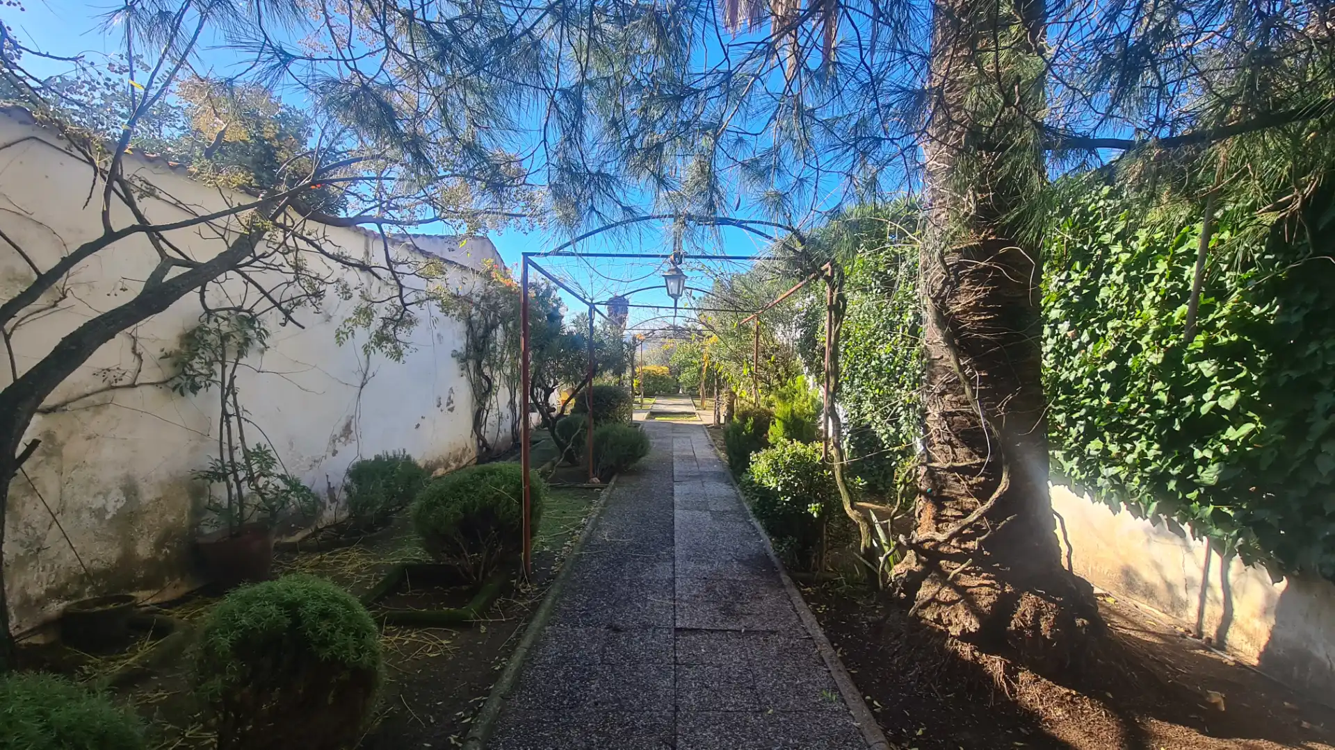House with garden for sale in Azuaga, imagen 23
