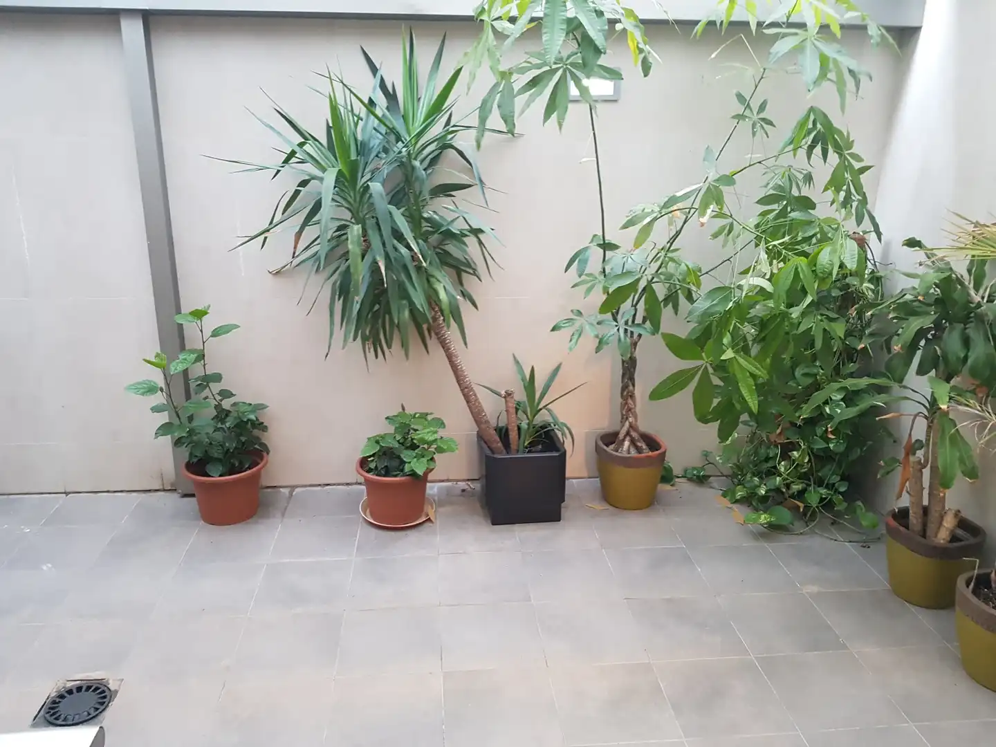 Terrassa de Casa o xalet de lloguer en Murcia amb Aire condicionat, Calefacció i Terrassa