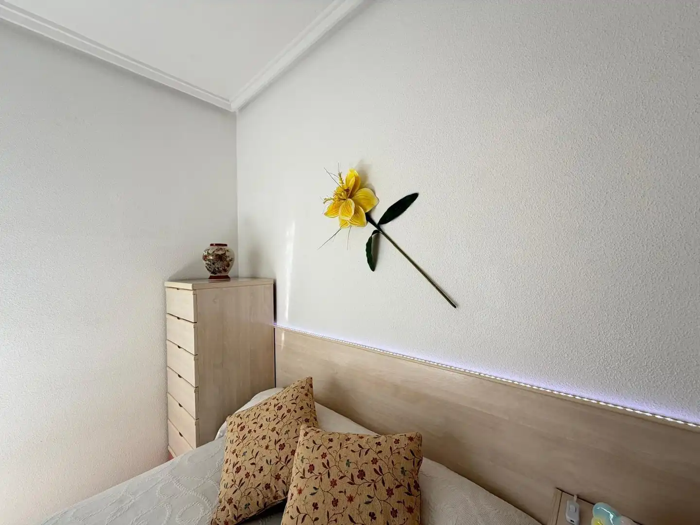 Ático con terraza en venta en Avenida DE LAS HABANERAS, imagen 20