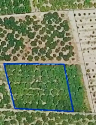 Terrain rustique à vendre à Oliva pueblo