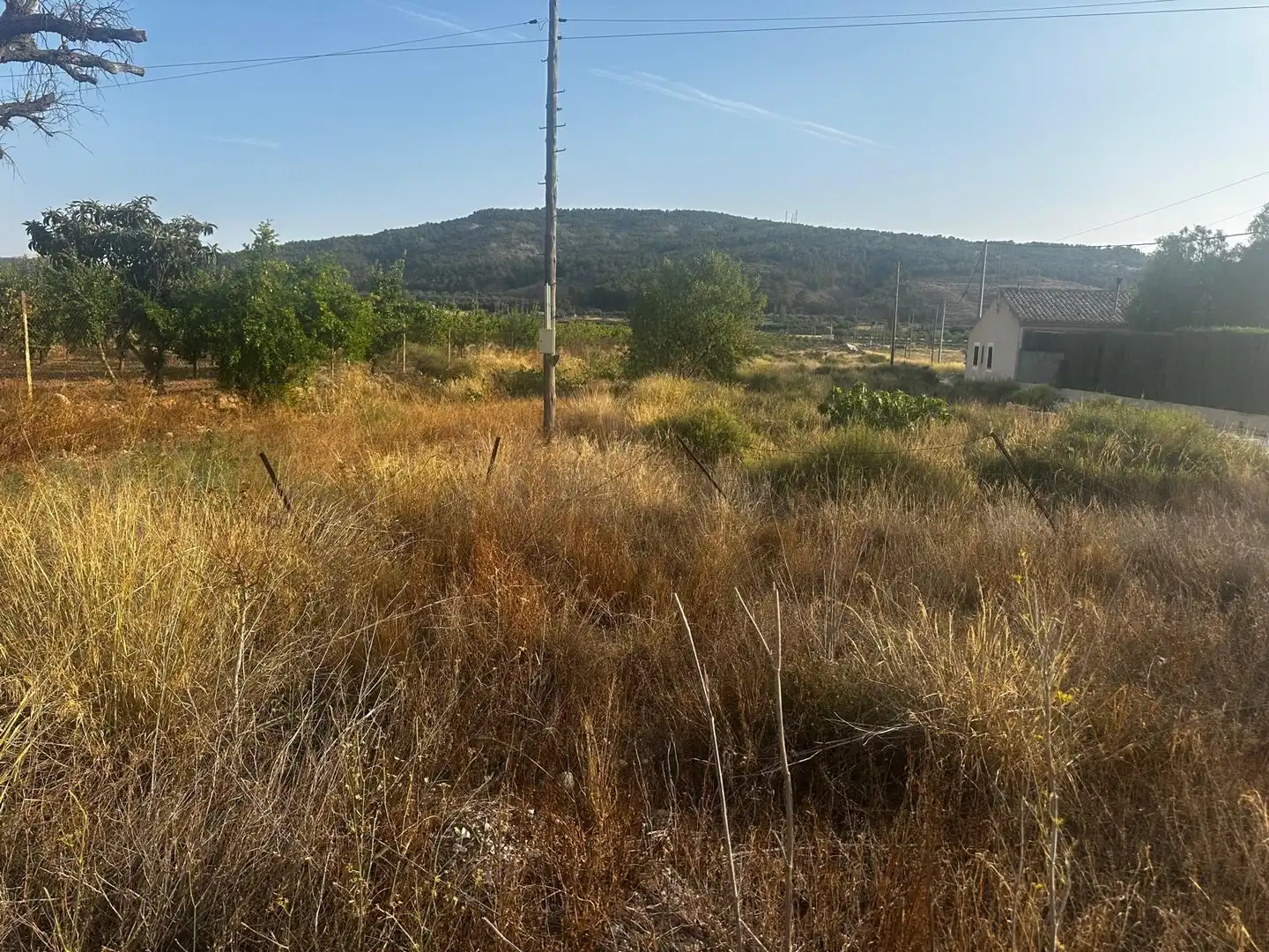 Wohnbaugrundstück zum Verkauf in El Pinós / Pinoso, imagen 2