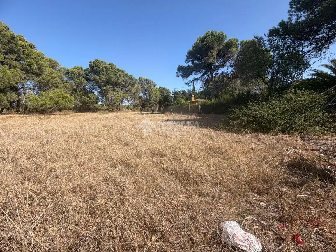 Terreny rústic en venda a Los Franceses – La Vega, imagen 9