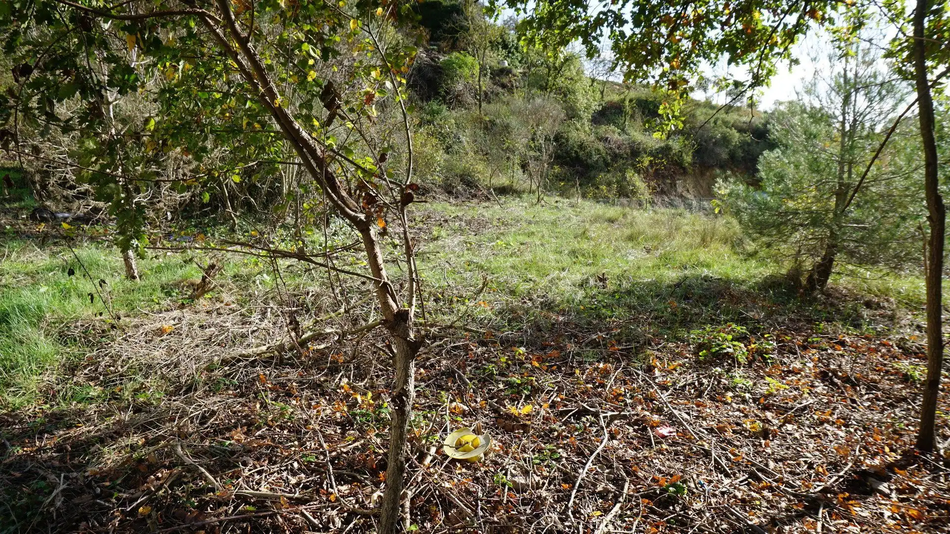 Grundstücke und Bauplätze zum Verkauf in Lluis Companys, imagen 17